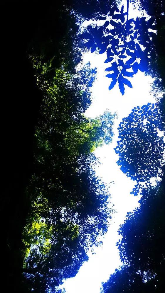 众神之宝