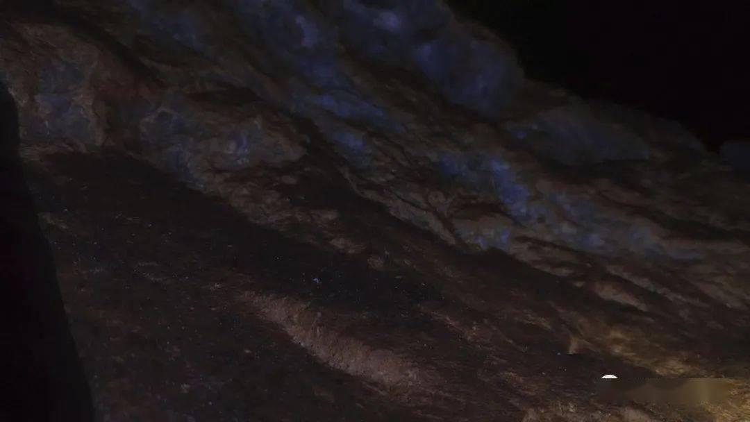 隐藏的间谍